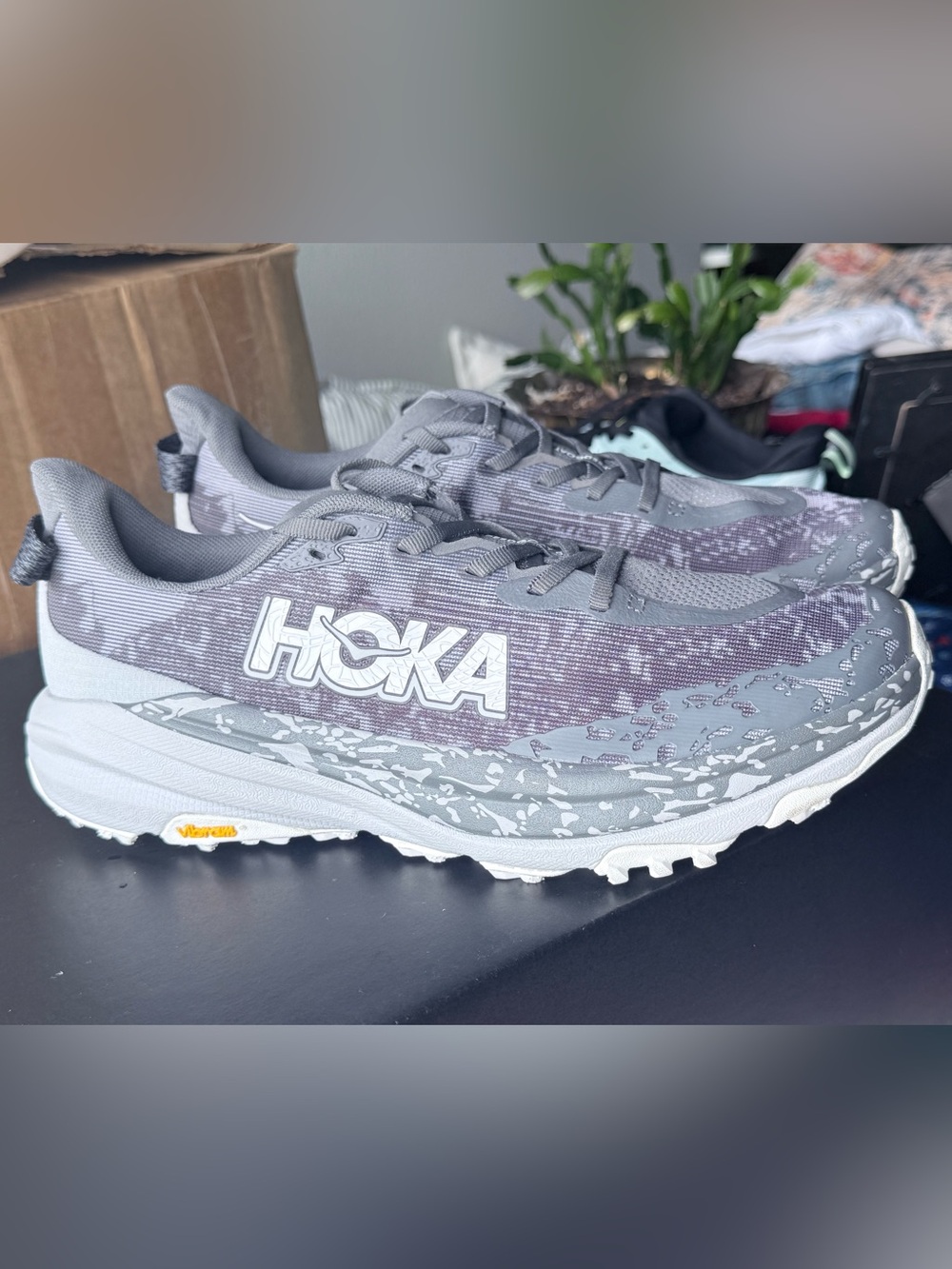 Hoka SpeedGoat 6
